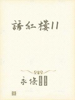 诱红楼11