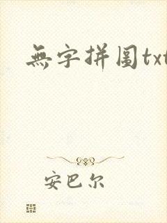无字拼图txt封面