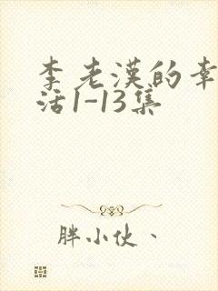 李老汉的幸福生活1-13集