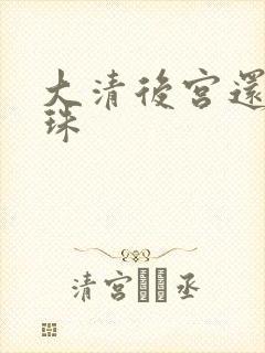 大清后宫还君明珠