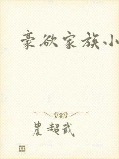 豪欲家族小说