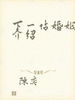下一站婚姻剧情介绍封面