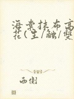 海棠抹布高岭之花(生/触/双)