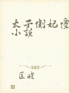 太子侧妃傻乎乎小说封面