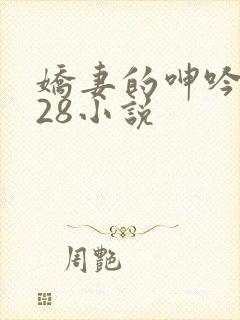 娇妻的呻吟1—28小说