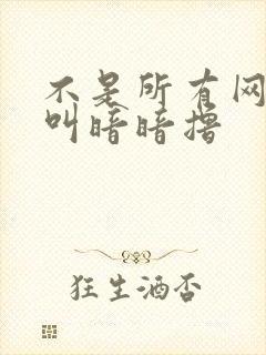 不是所有网站都叫暗暗撸
