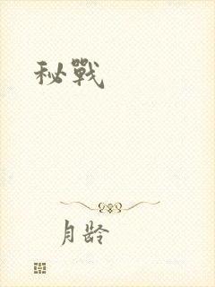 秘战