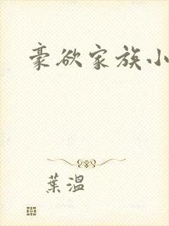 豪欲家族小说封面