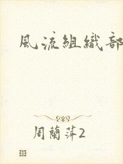 风流组织部长封面
