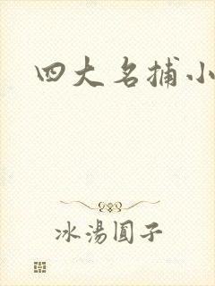四大名捕小说