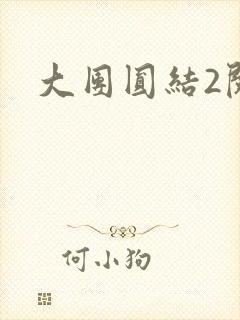 大团圆结2阅读