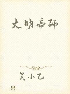 大明帝师封面