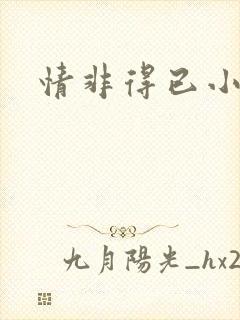 情非得已小说