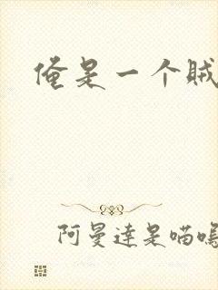 俺是一个贼