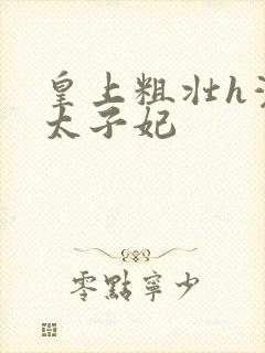 皇上粗壮h灌满太子妃封面