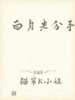 白月光分手日常封面