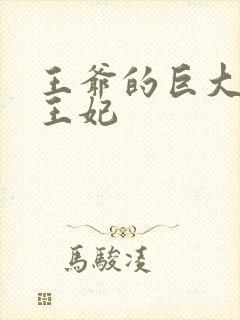 王爷的巨大进入王妃封面