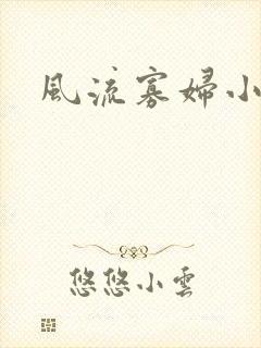 风流寡妇小说封面