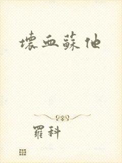 坏血苏他封面