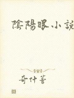 阴阳眼小说封面