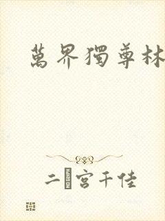 万界独尊林枫封面