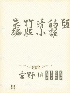 朱竹清的堕落改编版小说
