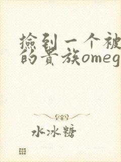 捡到一个被抹布的贵族omega