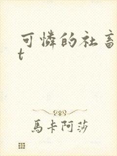 可怜的社畜txt