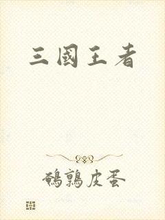 三国王者