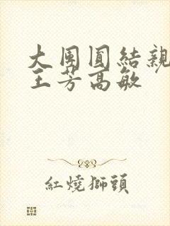 大团圆结亲情会王芳高敏