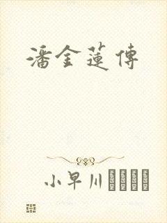潘金莲传