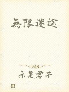 无限迷途封面