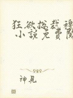 狂欲总裁穆非雪 小说免费阅读封面
