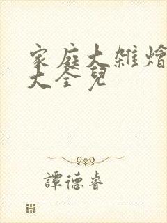 家庭大杂烩小说大全儿