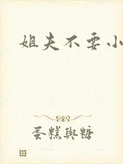 姐夫不要小说