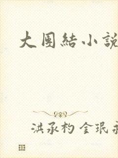 大团结小说下载封面