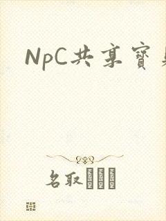 NpC共享宝贝