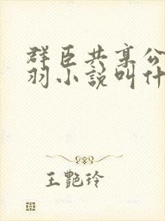 群臣共享公主银羽小说叫什么