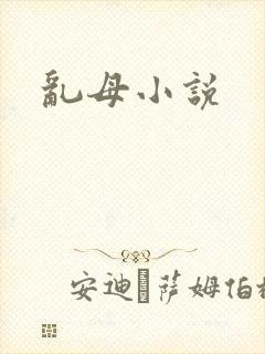 乱母小说封面