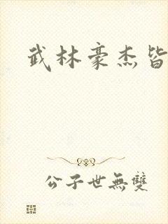 武林豪杰皆我奴
