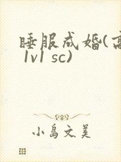 睡服成婚(高h 1v1 sc)