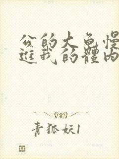 公的大龟慢慢挺进我的体内