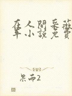 在人间采薇陆三平小说免费阅读