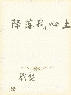 降落我心上