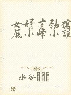 女婿有劲枪枪到底小峰小说封面