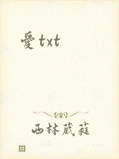 爱txt