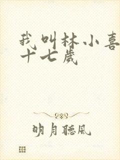 我叫林小喜今年十七岁