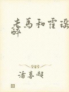 老马和霍瑶瑶喝醉