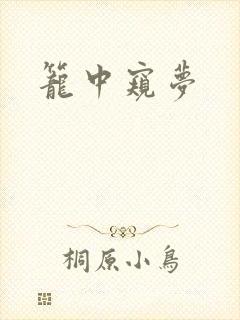 笼中窥梦封面