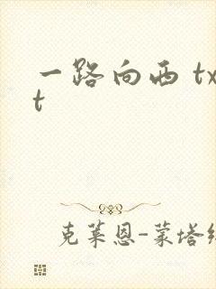 一路向西 txt封面